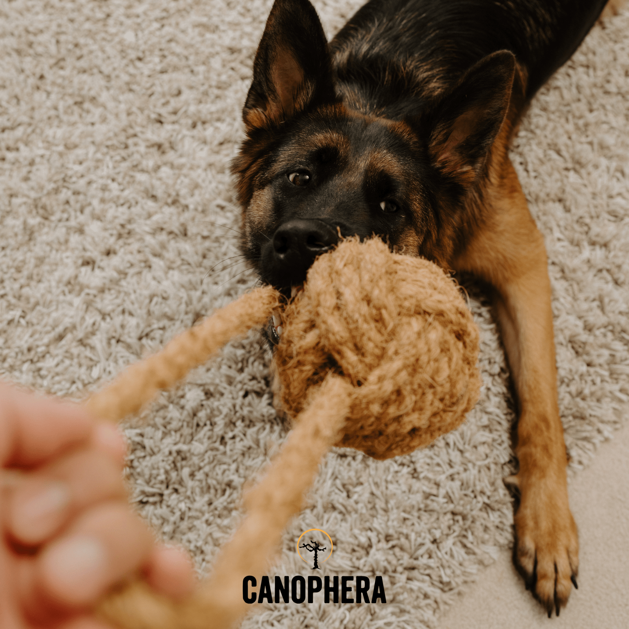 Coconut Rope Toys - Canophera