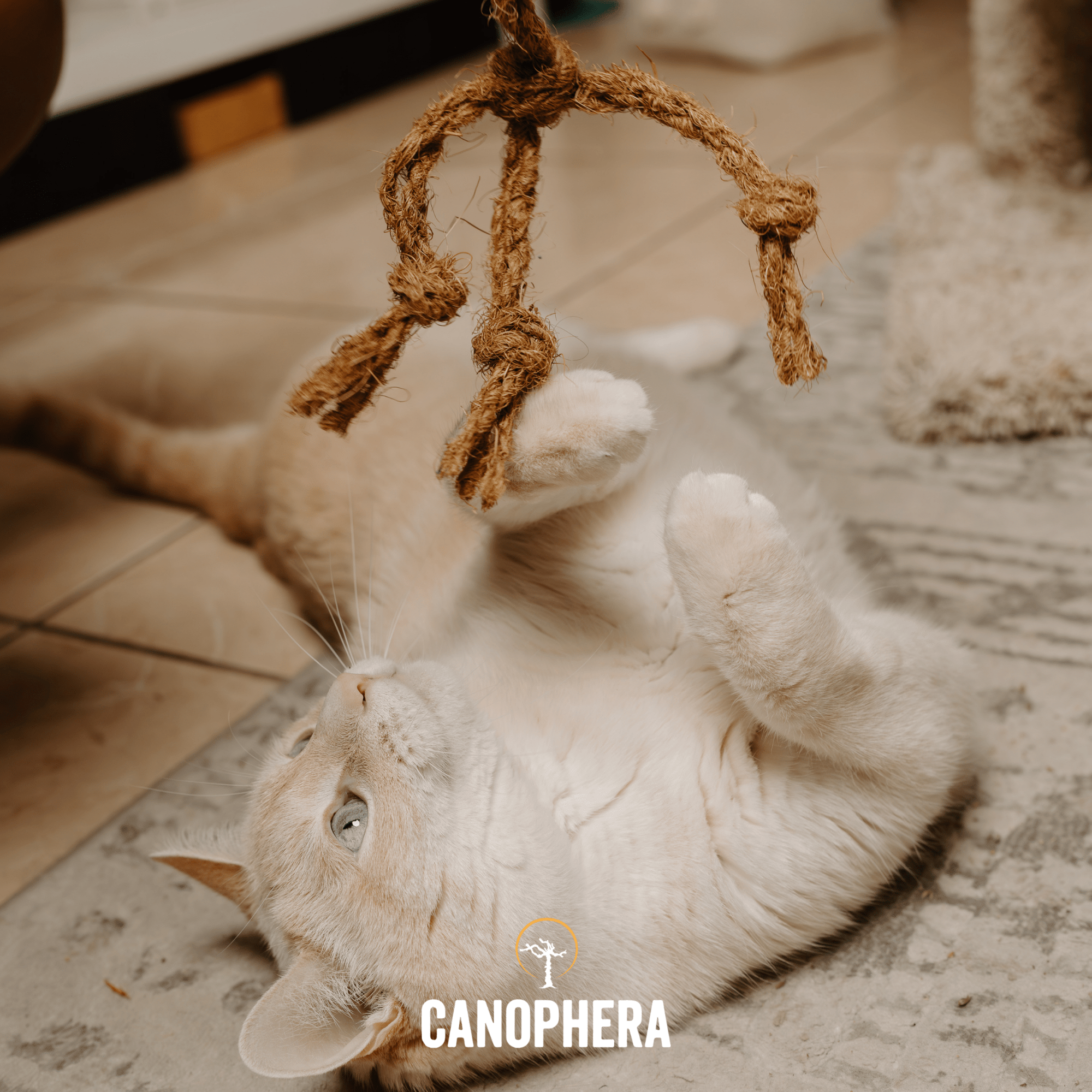Natural Cat Toys. - Canophera