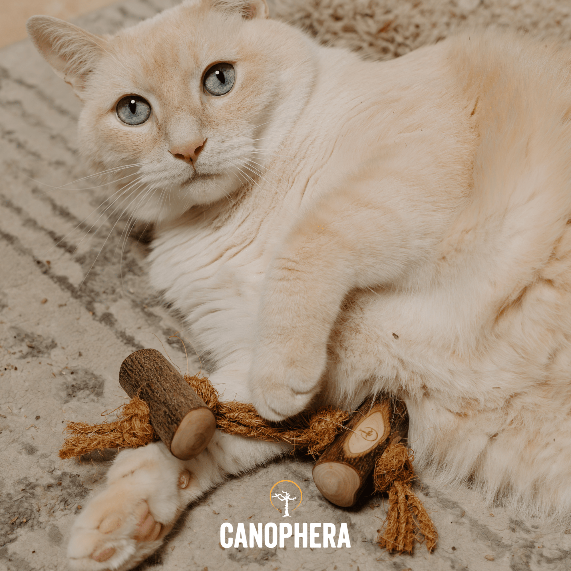 Natural Cat Toys. - Canophera