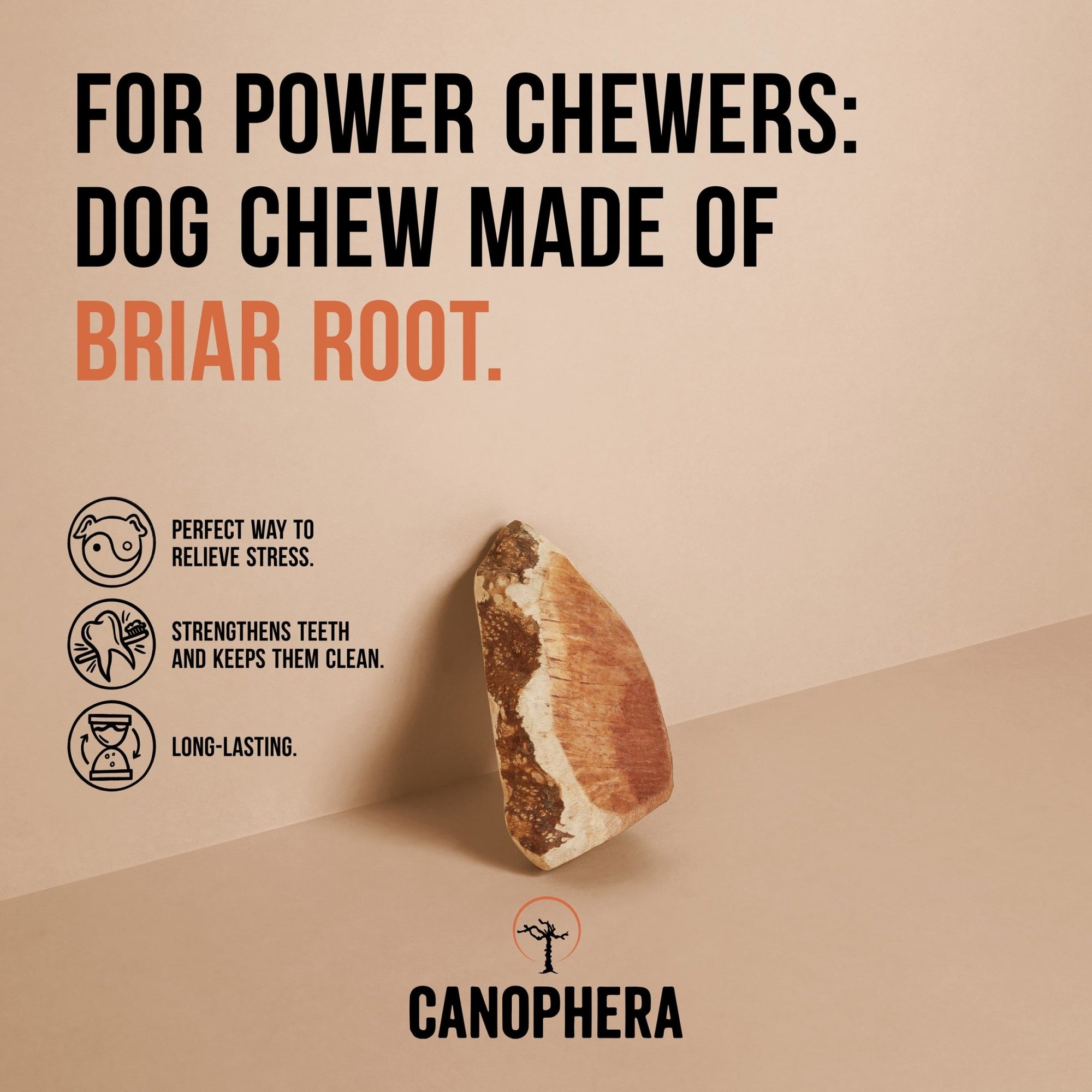 Briar Roots - Canophera