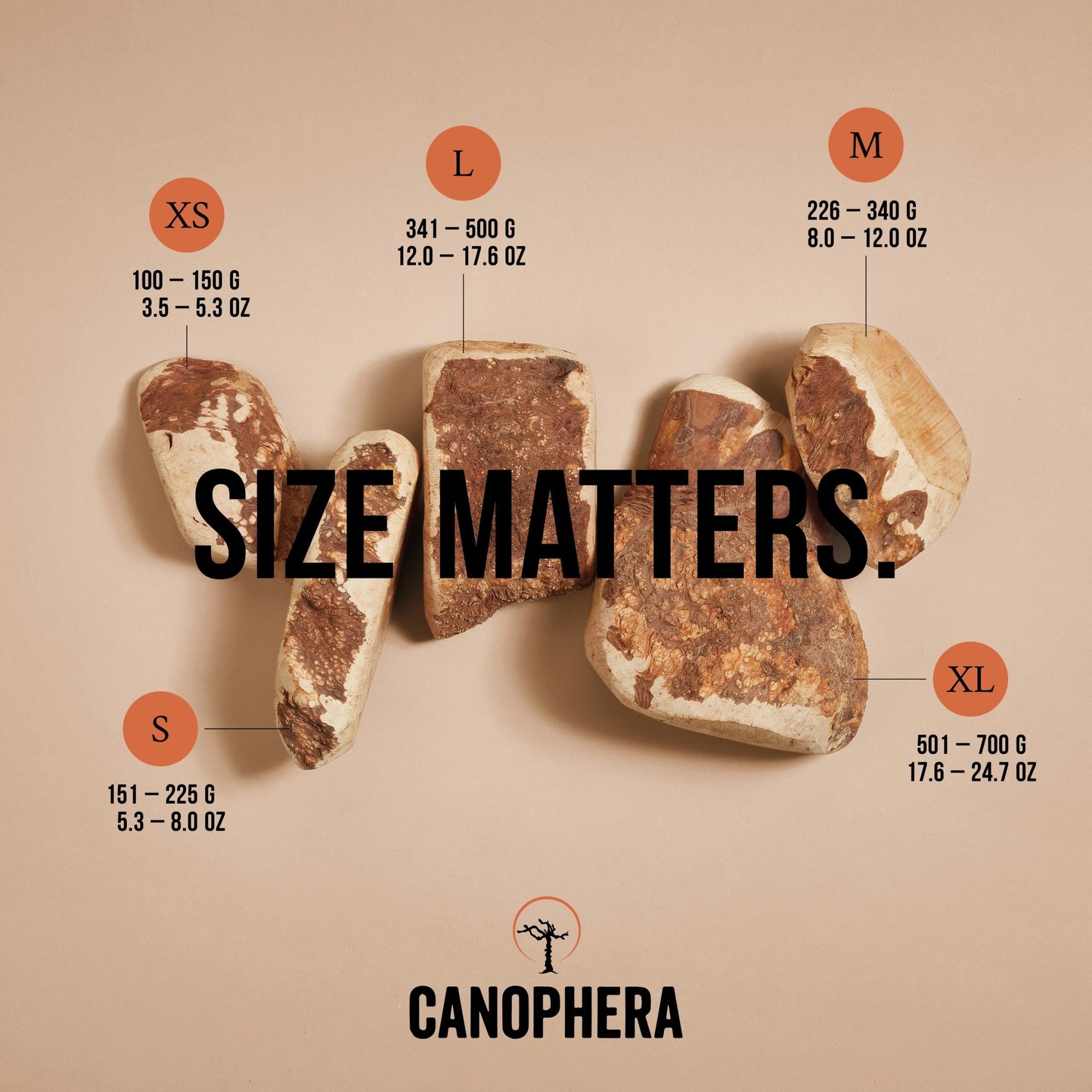 Briar Roots - Canophera