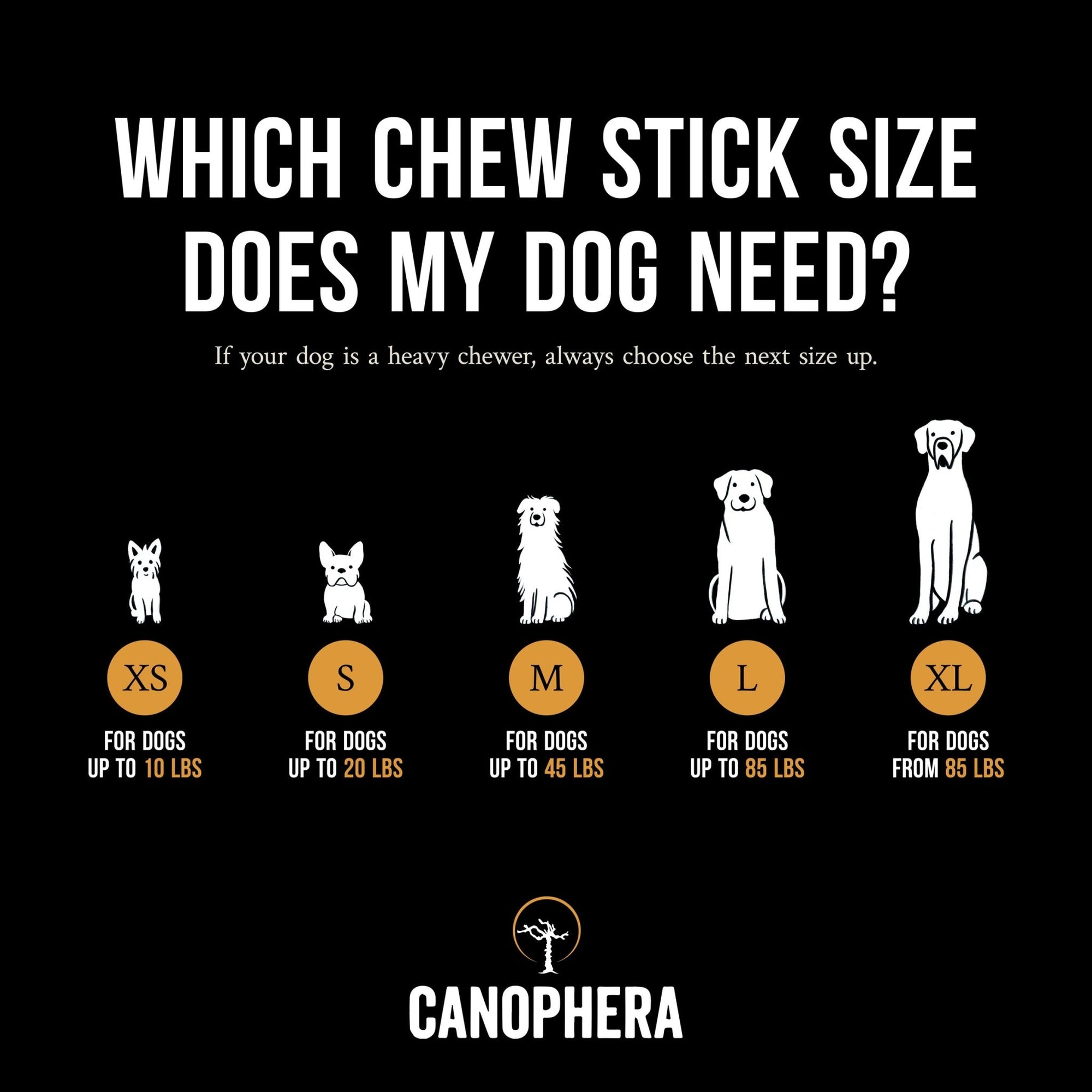Coffee Wood Chew Sticks (Pack of 2) - Canophera