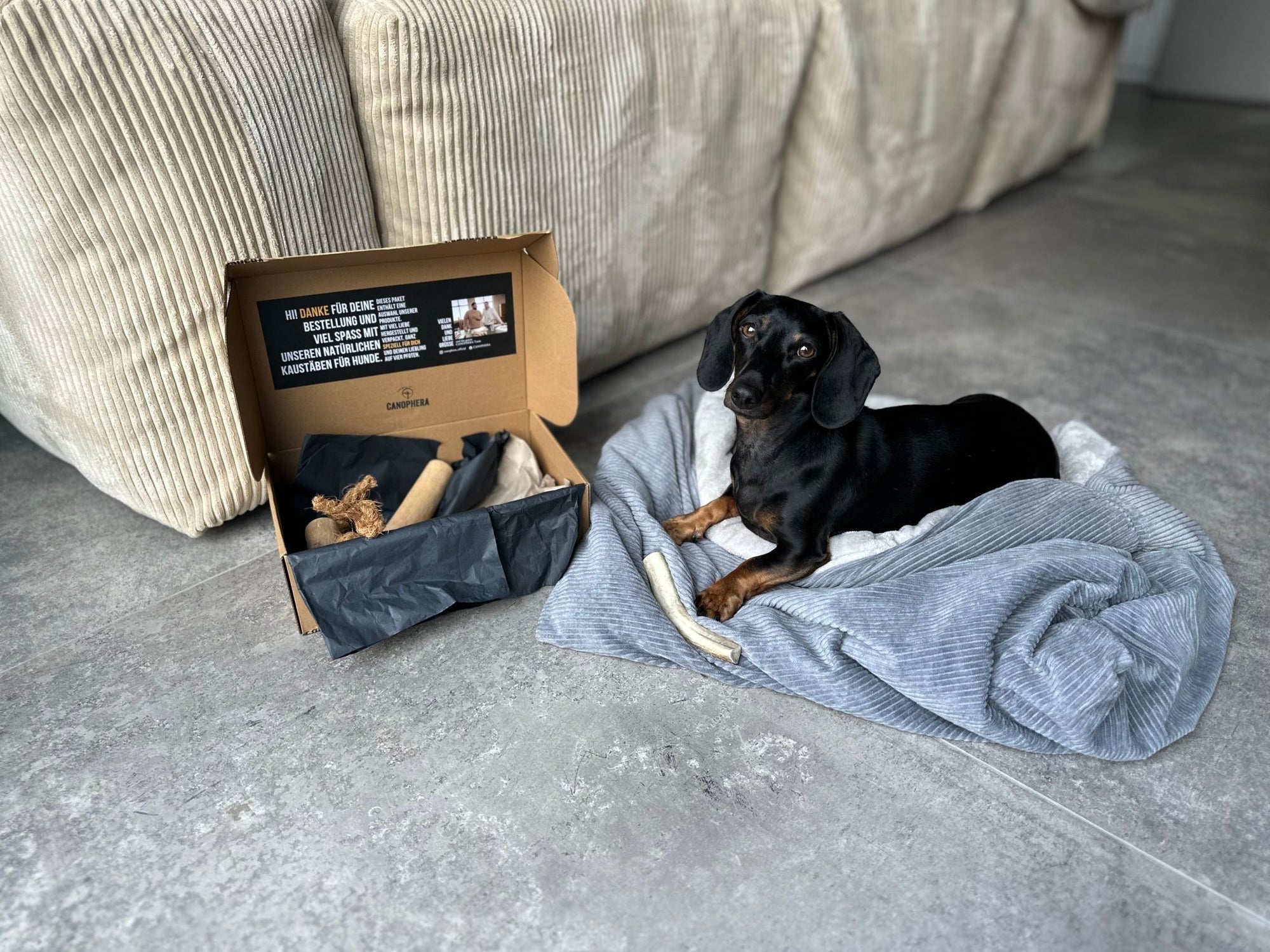 Happy Chew Box - Canophera
