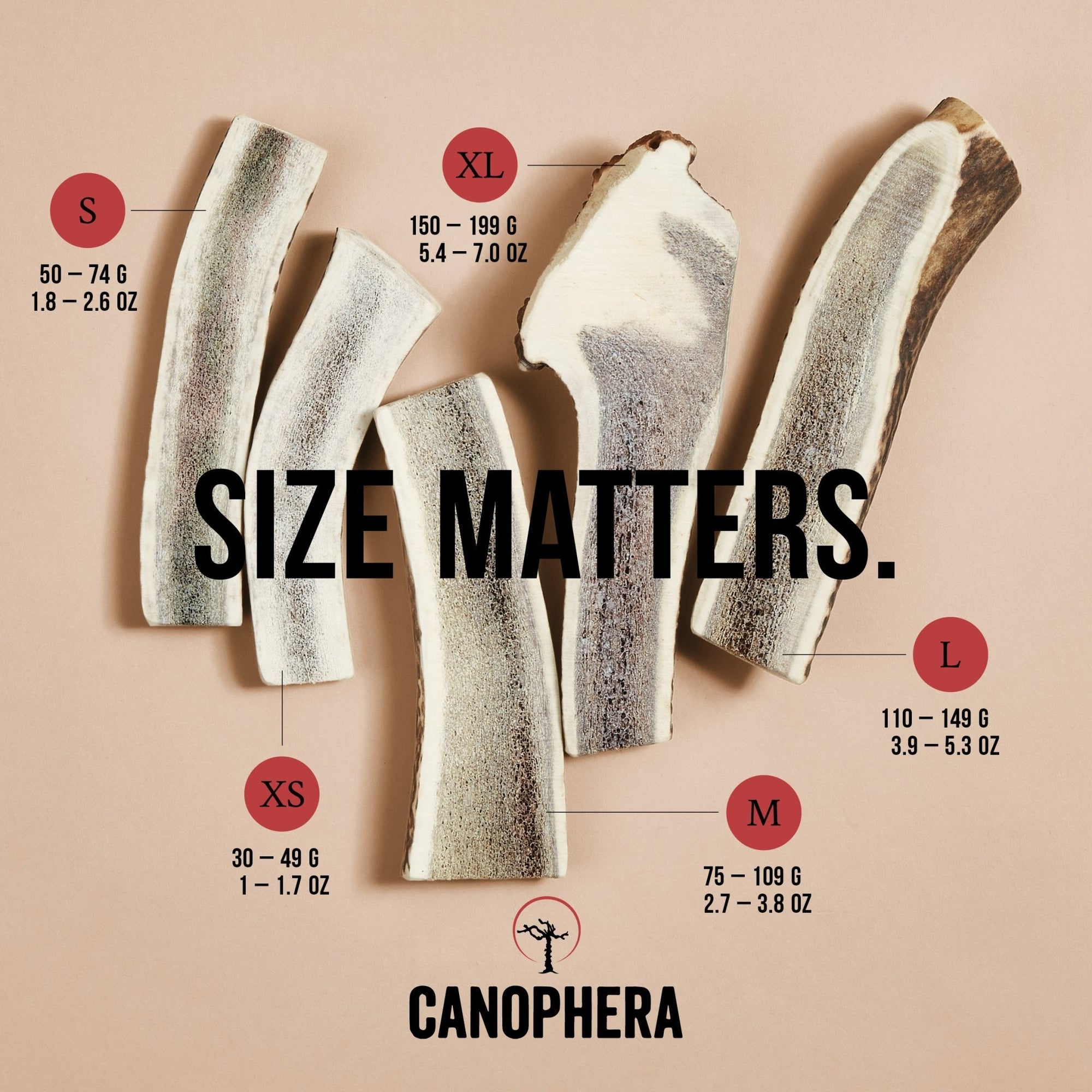 Red Deer Antlers (Splits) - Canophera