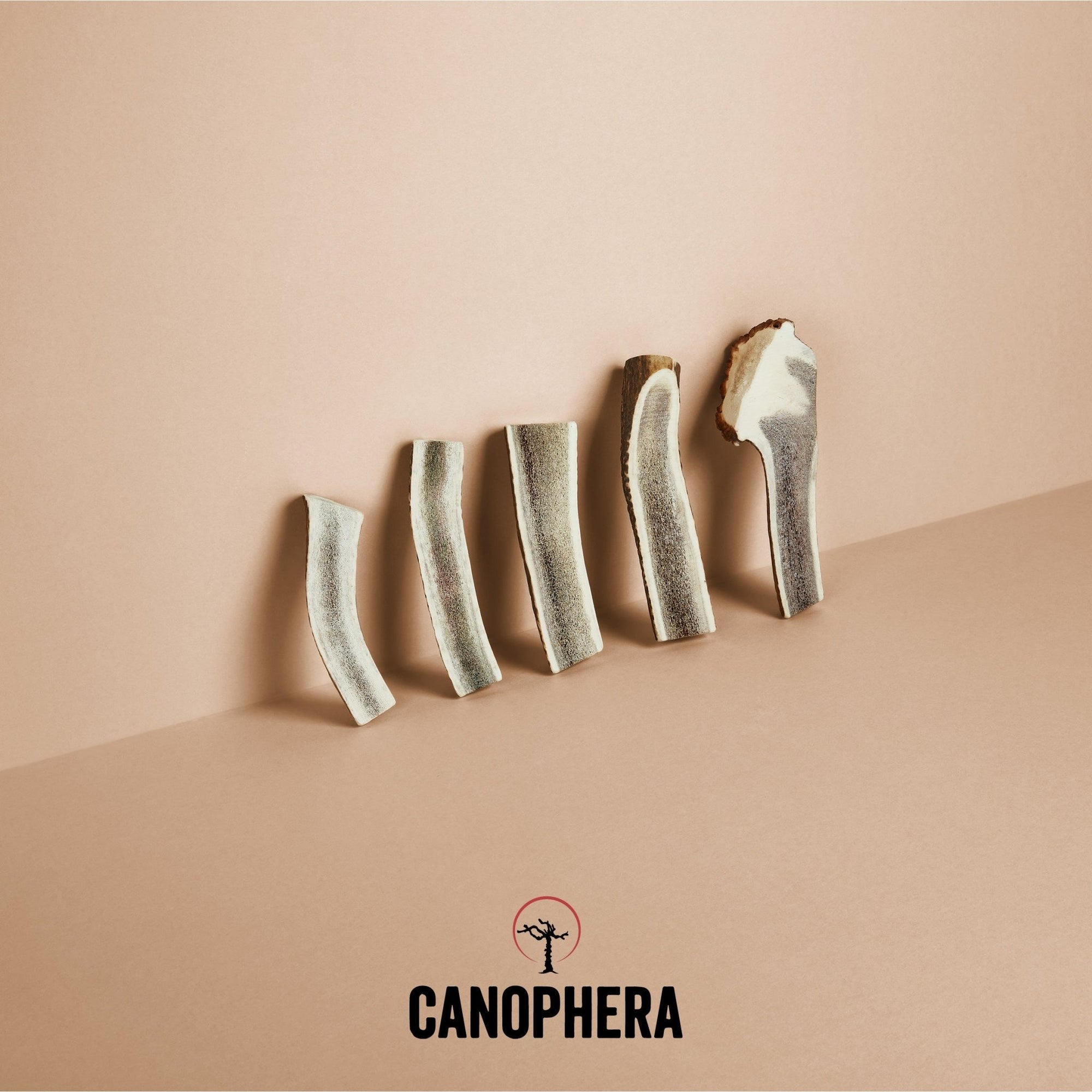 Red Deer Antlers (Splits) - Canophera